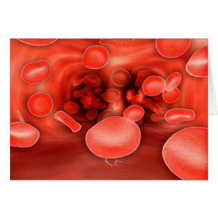 Vue microscopique de l'écoulement de globules