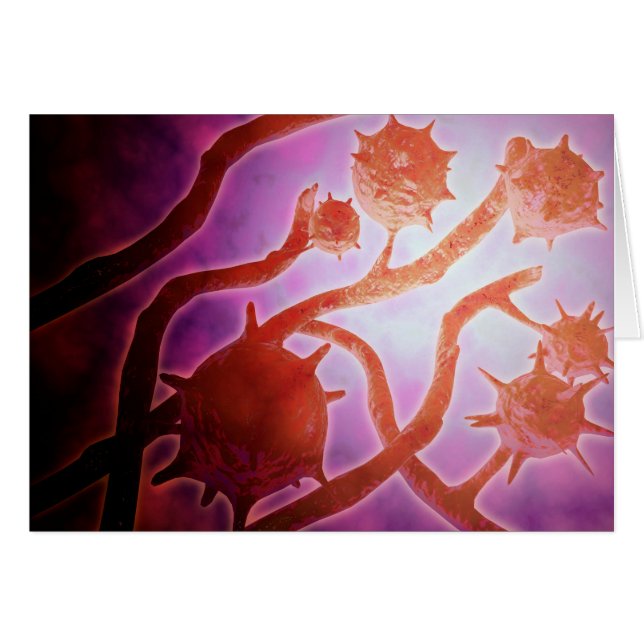 Vue Microscopique De L'Histoplasmose (Devant horizontal)