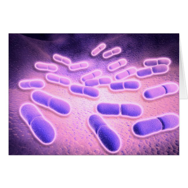 Vue Microscopique De Listeria Monocytogenes 2 (Devant horizontal)