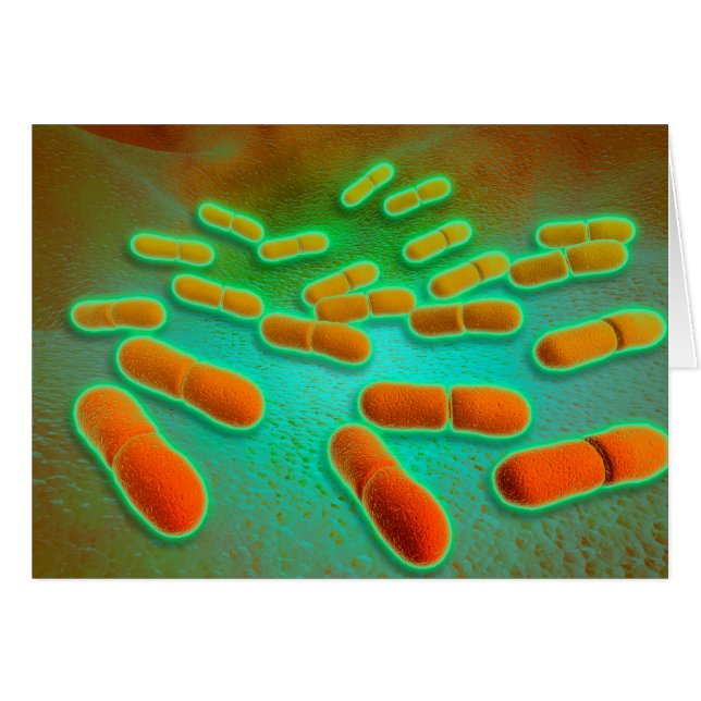 Vue Microscopique De Listeria Monocytogenes 3 (Devant horizontal)