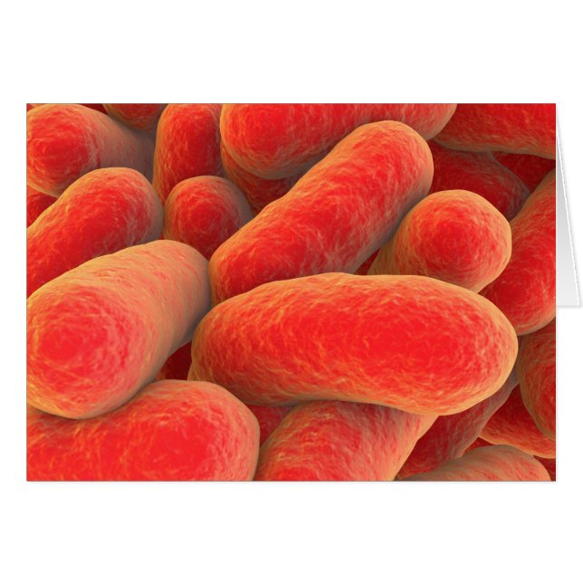 Vue Microscopique Des Bactéries 4 (Devant horizontal)