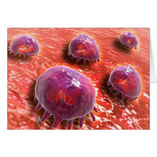 Vue microscopique des macrophages phagocytaires 3