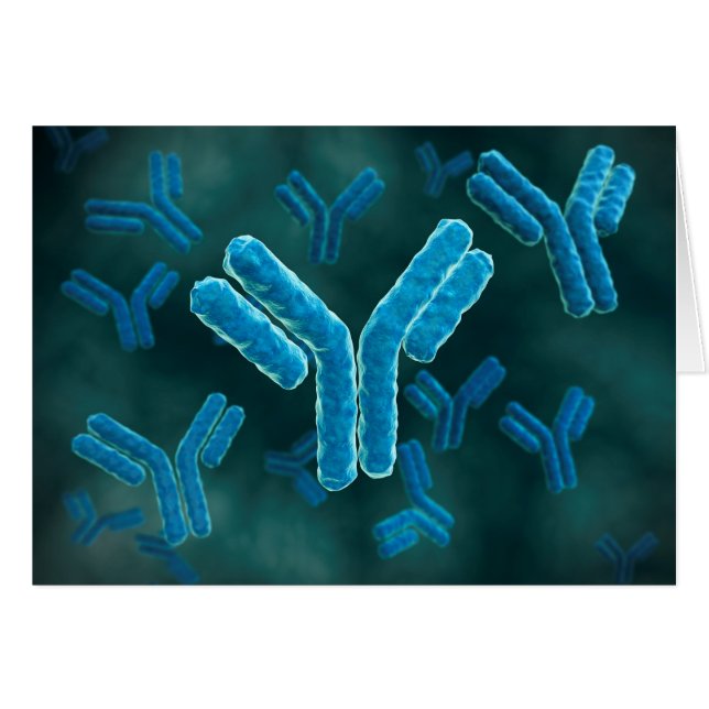 Vue Microscopique Des Molécules Immunoglobulines G (Devant horizontal)