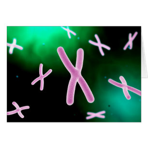 Vue Microscopique Du Chromosome 2