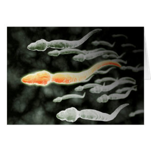 Vue microscopique du déplacement de sperme