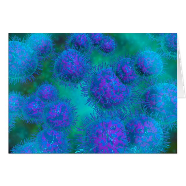 Vue Microscopique Du Diplococcus Bacterium (Devant horizontal)