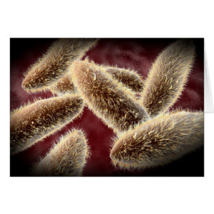 Vue Microscopique Du Paramètre 2