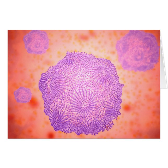Vue Microscopique Du Parvovirus Canin 2 (Devant horizontal)