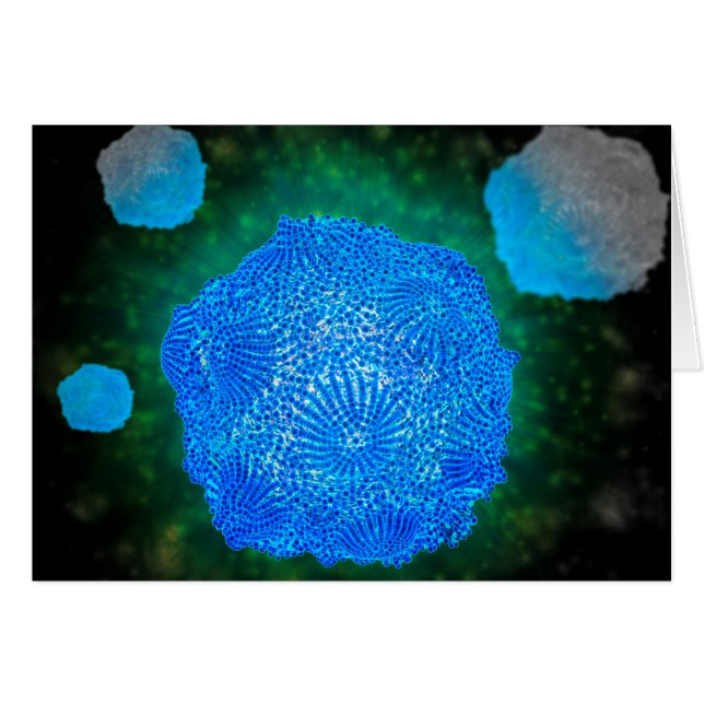 Vue Microscopique Du Parvovirus Canin 3 (Devant horizontal)