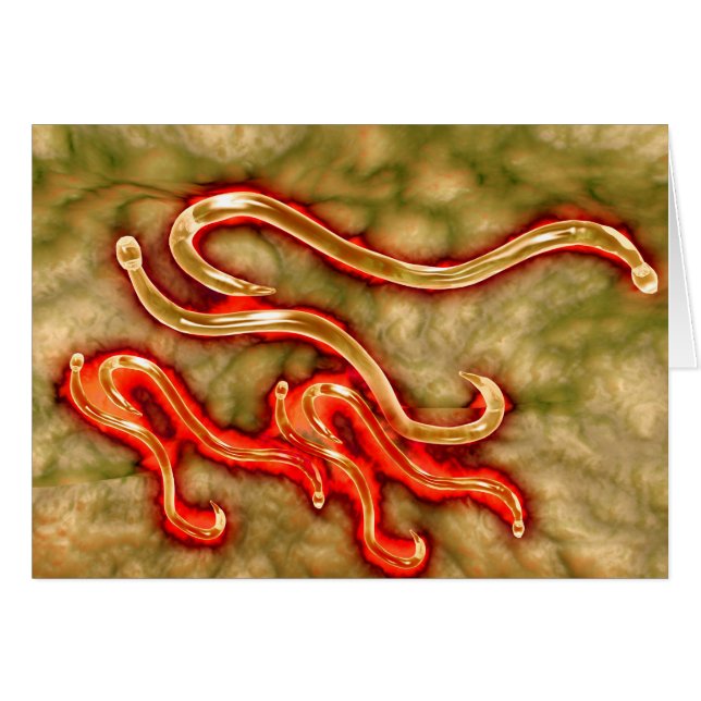 Vue Microscopique Du Vin À Coin 1 (Devant horizontal)