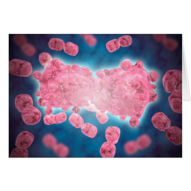 Vue Microscopique D'Un Groupe De Cellules Leucémiq (Devant horizontal)