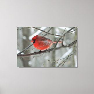 Vue Oiseau (Cardinal Rouge) toile Imprimer