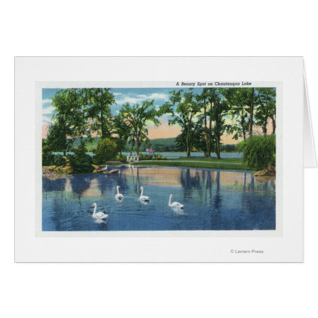 Vue pittoresque des cygnes sur le lac (Devant horizontal)