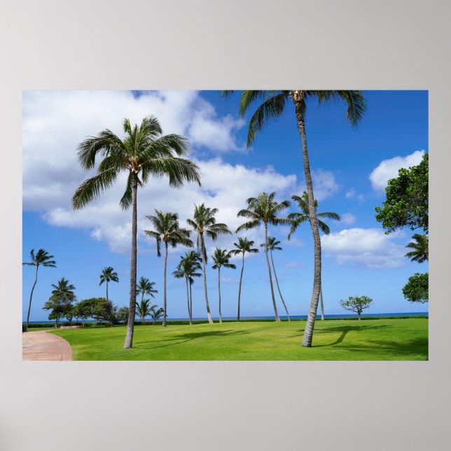 Vue pittoresque sur affiche des cocotiers (Devant)