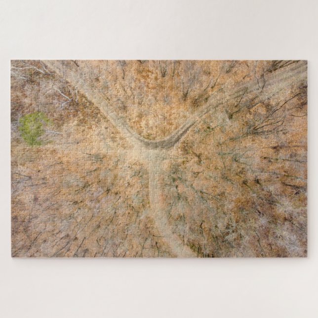 Vue pittoresque zenithal d'un puzzle en bois (Horizontal)