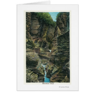 Vue sur la gorge de Minnehaha