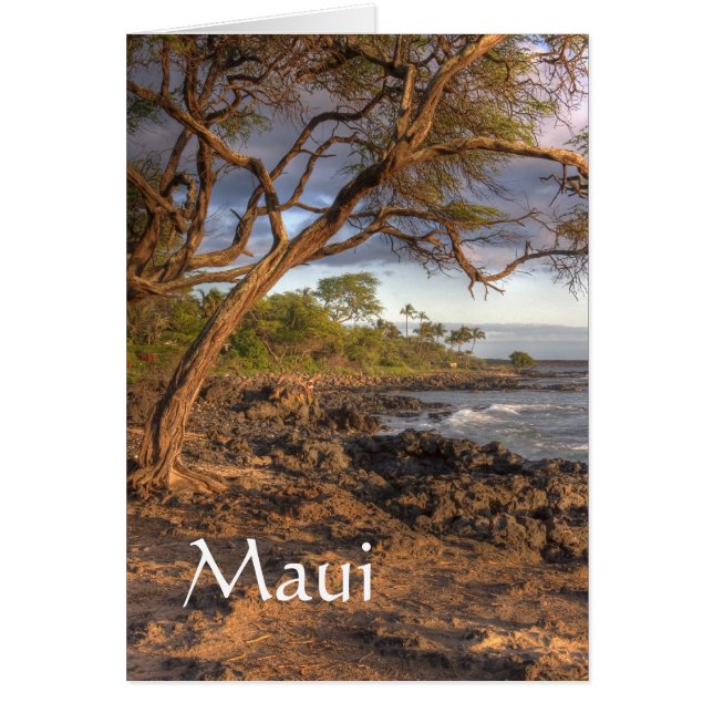 Vue sur l'océan du Maui (Devant)