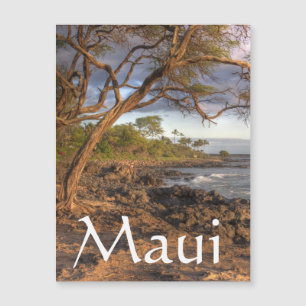 Vue sur l'océan du Maui