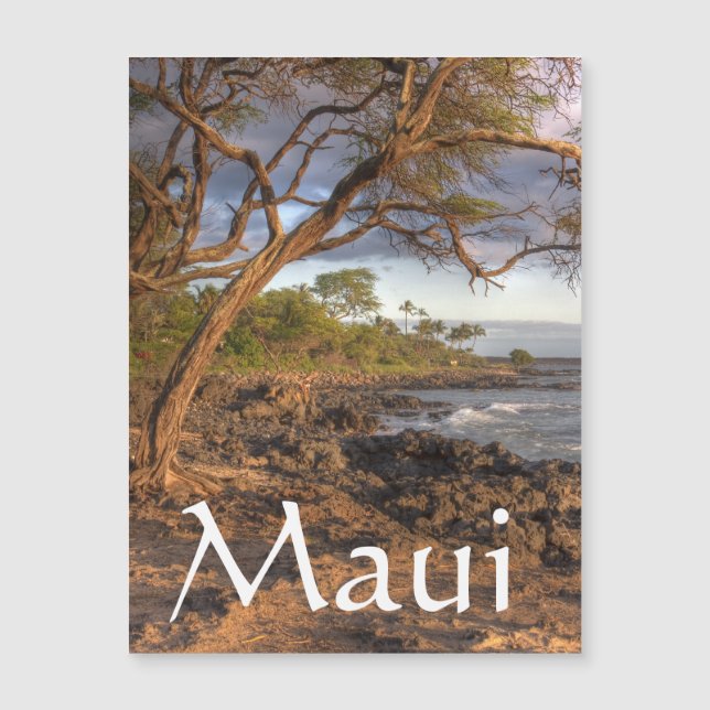 Vue sur l'océan du Maui (Devant)
