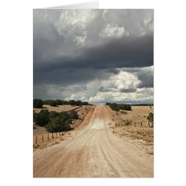 Vue sur un chemin de terre en NM avec (Devant)
