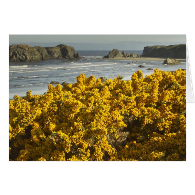Vues côtières, Bandon, Oregon (Devant horizontal)