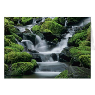 WA, parc national Olympique, vallée de Sol Duc, ru