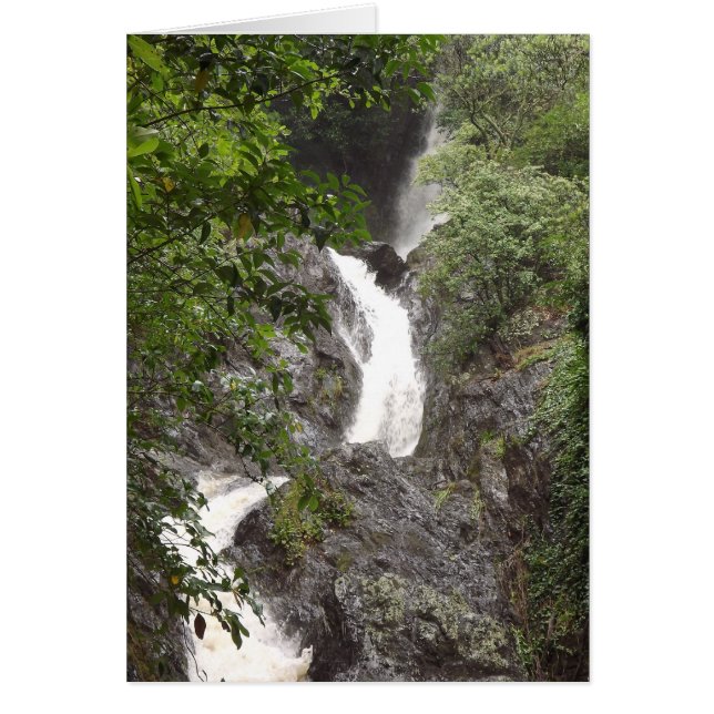 Wairere Falls, Whakatane (Devant)