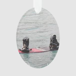 Wakeboarder