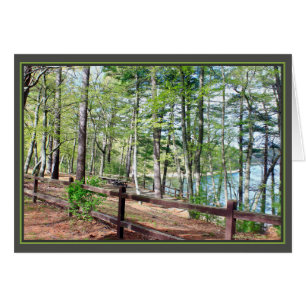 Walden Pond :
