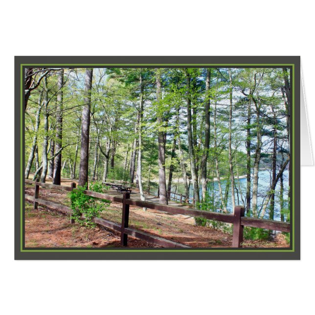 Walden Pond : (Devant horizontal)