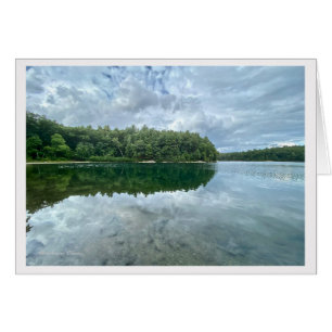 *Walden Pond : Bluebird porte le ciel sur son dos.