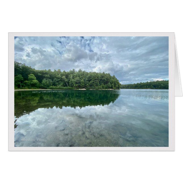 *Walden Pond : Bluebird porte le ciel sur son dos. (Devant horizontal)
