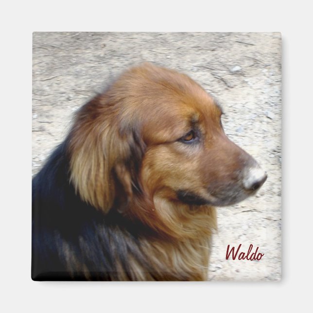 Waldo Magnet (Devant)