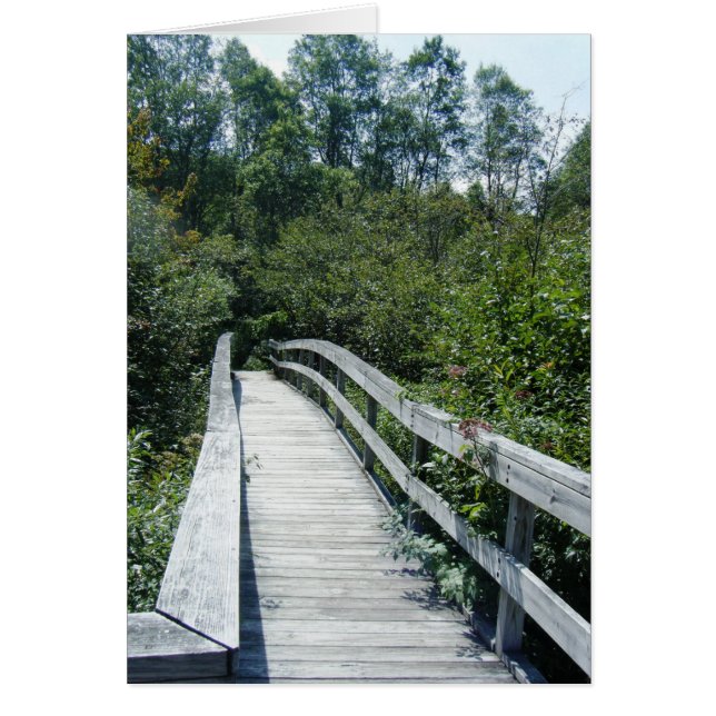 "Walkway, Green Mountain National Forest" (Devant)