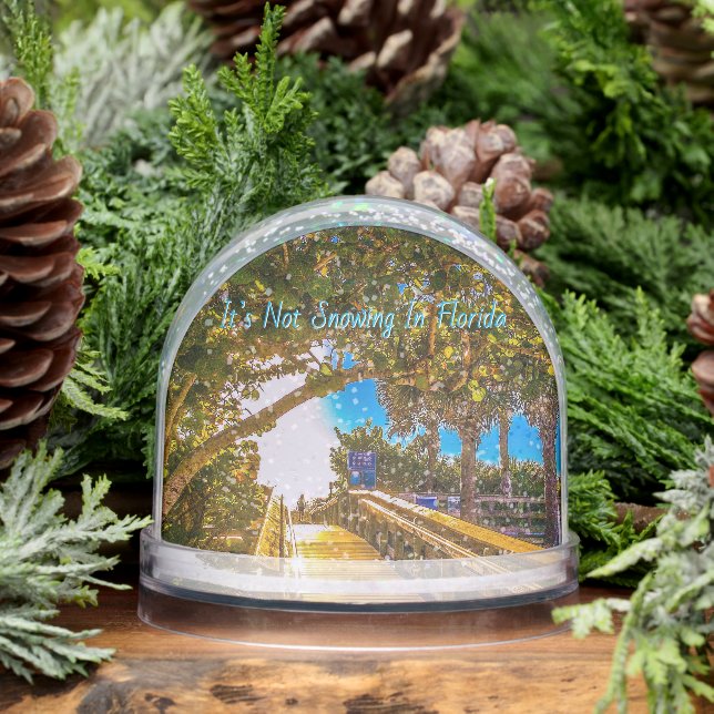 Walkway to the Beach Snow Globe (Hiver)