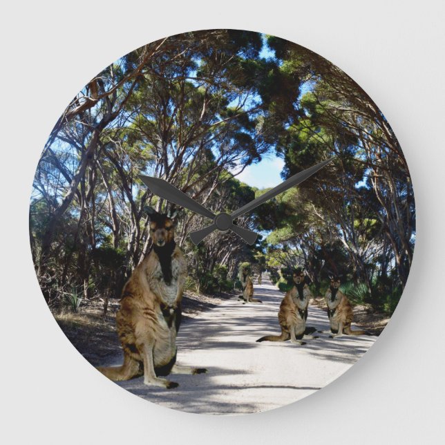 Wallabe Australienne Sur Route, Grande Horloge (Recto)