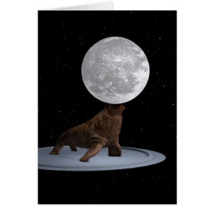 Walrus Équilibrer La Lune