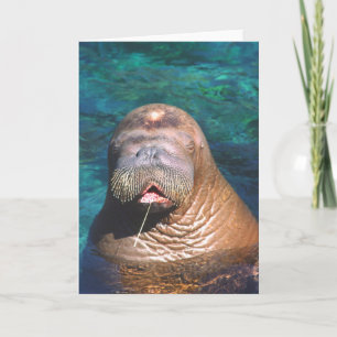 Walrus Eyes Carte à notes fermées