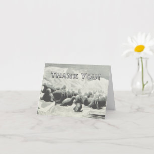 Walrus Herd "Merci !" Carte de vœux