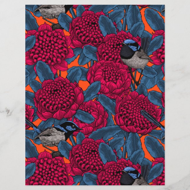Waratah rouge et brunes (Devant)