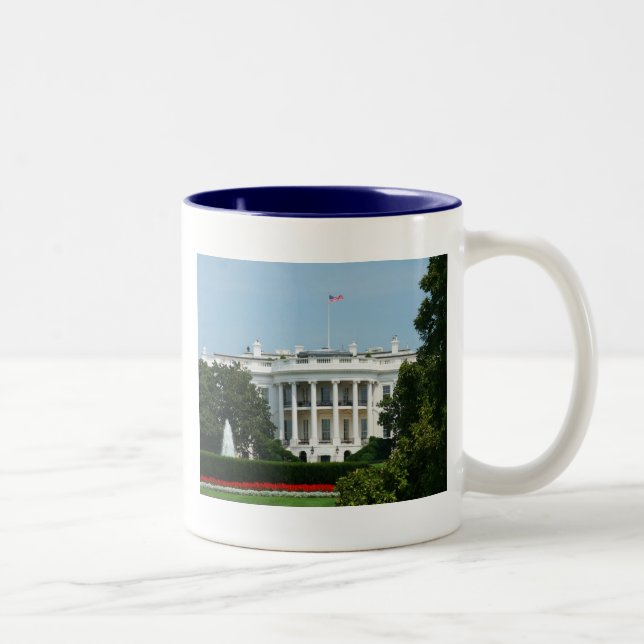 Washington, D.C. Mug (Droit)