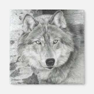 Watching Eyes Wolf Magnet