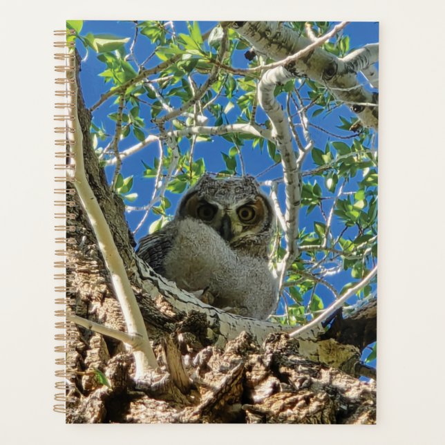 Watching You Planner (Devant)