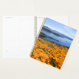 Water Lac California With Golden Poppies
