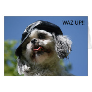 waz