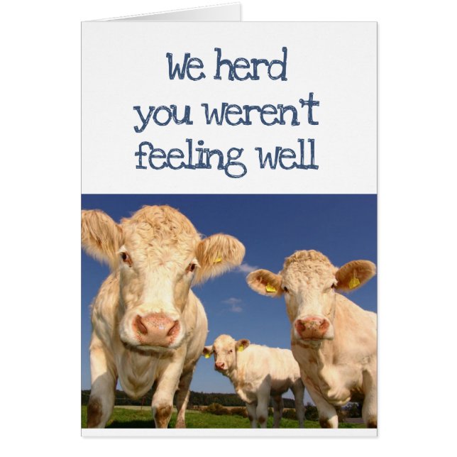 We Herd You Weren't Feeling Well Fun Cow Humor (Devant)