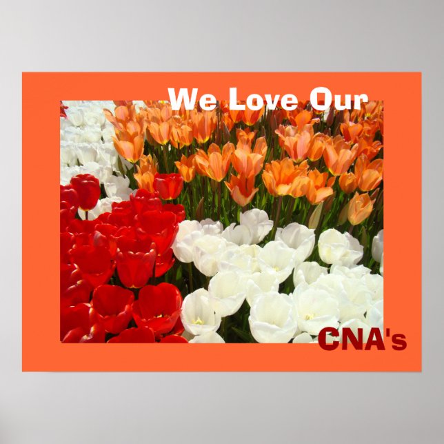 We Love Our CNA's posters Orange Tulip Flowers (Devant)