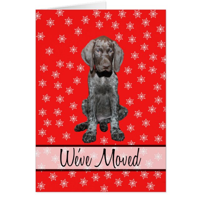 We ve Moved - New Address Christmas pointeur allem (Devant)