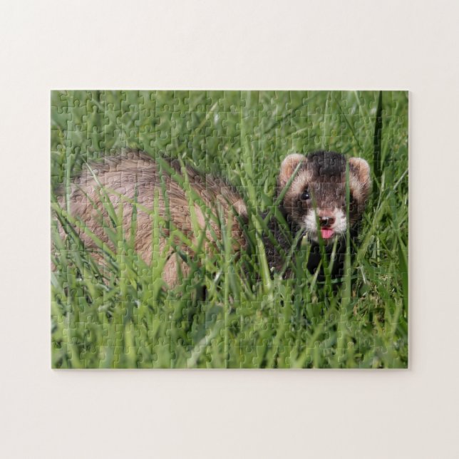 Weasel Garden Puzzle - Sable Ferret (Horizontal)