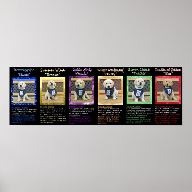 Weather Litter and Bea Name Definitions Poster (Devant)